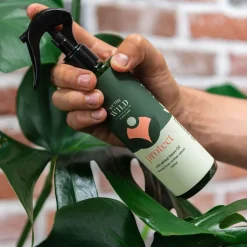 Australian Geographic Proud Plant Mum Leaf Health Kit