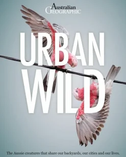 Australian Geographic Urban Wild