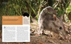 Australian Geographic Urban Wild