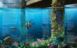 Australian Geographic Urban Wild