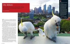 Australian Geographic Urban Wild