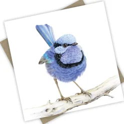 Australian Geographic “Waru” the Splendid Fairy Wren Greeting Card from PopcornBlue