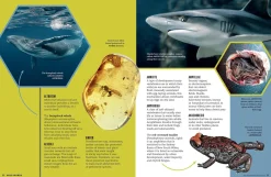 Kids Australian Geographic Wild Words - An Illustrated Dictionary of Scientific Terms