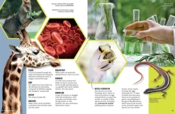 Kids Australian Geographic Wild Words - An Illustrated Dictionary of Scientific Terms