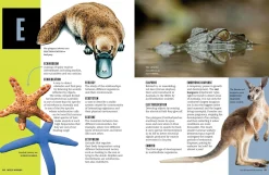 Kids Australian Geographic Wild Words - An Illustrated Dictionary of Scientific Terms