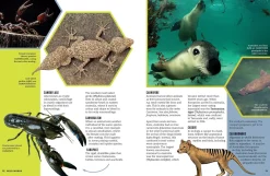 Kids Australian Geographic Wild Words - An Illustrated Dictionary of Scientific Terms